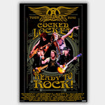 Aerosmith (2010) - Concert Poster - 13 x 19 inches