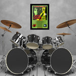 Alice Cooper with Econoline Crush (2008) - Concert Poster - 13 x 19 inches